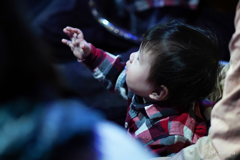 Close-up of a baby in a checked shirt reaching out on his parent's lap